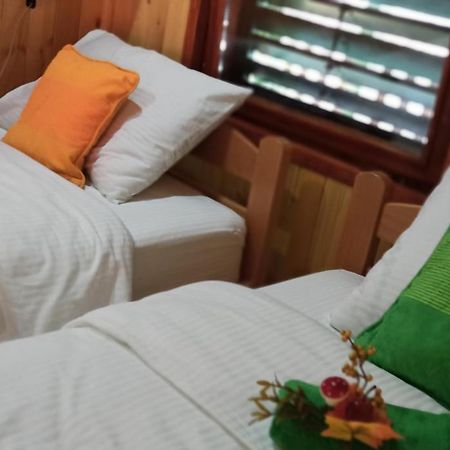 Apartman Orlovo Oko Mandici Exterior foto